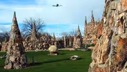 Petrified Wood Park