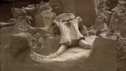 Mammoth Site