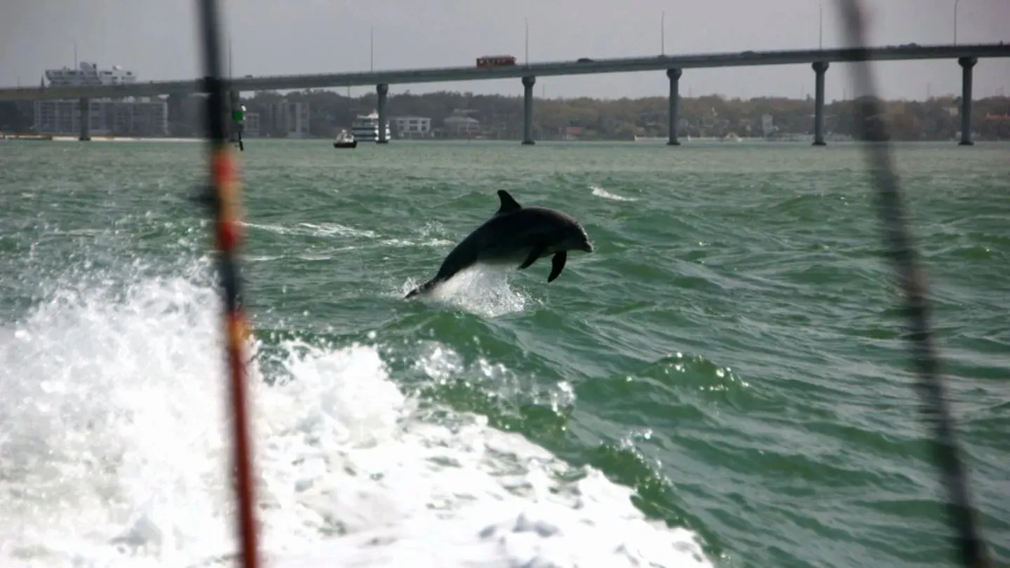 Florida's West Coast