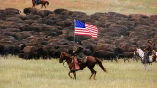 Land of the Bison