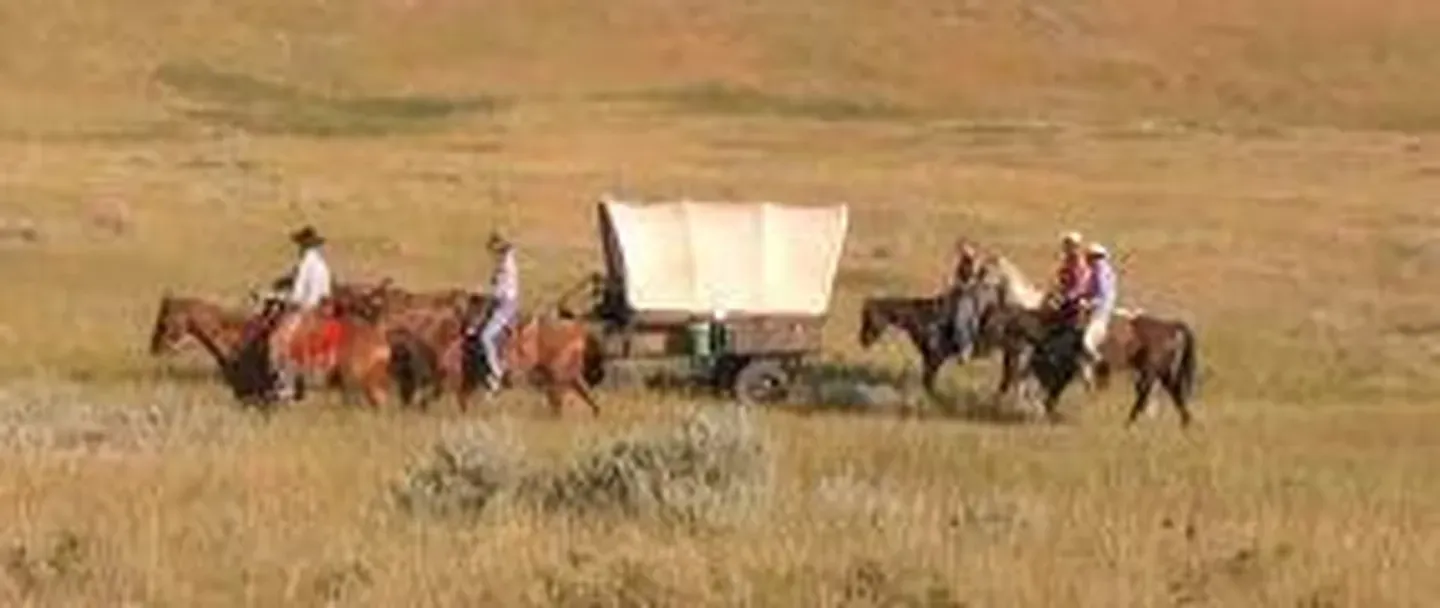 The Little Wagon Train