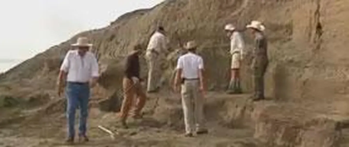 Dino Dig!