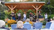 Fiddles & Friends