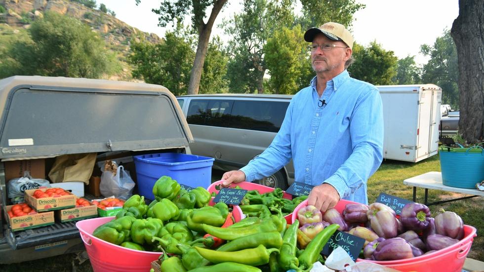 Savor Dakota Visits the Black Hills Farmers Market image