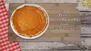 Savor Dakota Holiday Recipes: Sweet Potato Pie