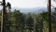 Black Hills Metamorphosis