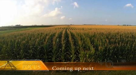 Video thumbnail: South Dakota Focus Agriculture & Science