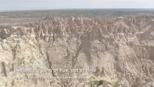 Lee Ann Roripaugh Reads "Badlands"