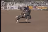 Chuck Schmidt Saddle Bronc 2005 SDHS Rodeo Finals