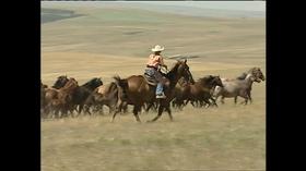 Video thumbnail: Backroads of Montana (No. 126) Kilns and Kin