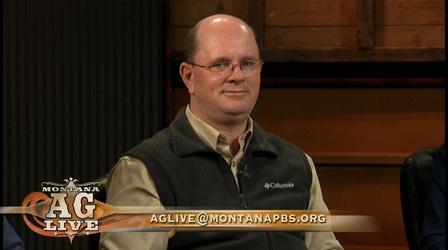 Video thumbnail: Montana Ag Live Pulse Crops - Our New Economic Boon? (No. 4703)