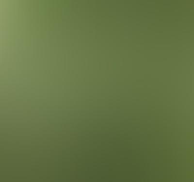 Cannabusiness