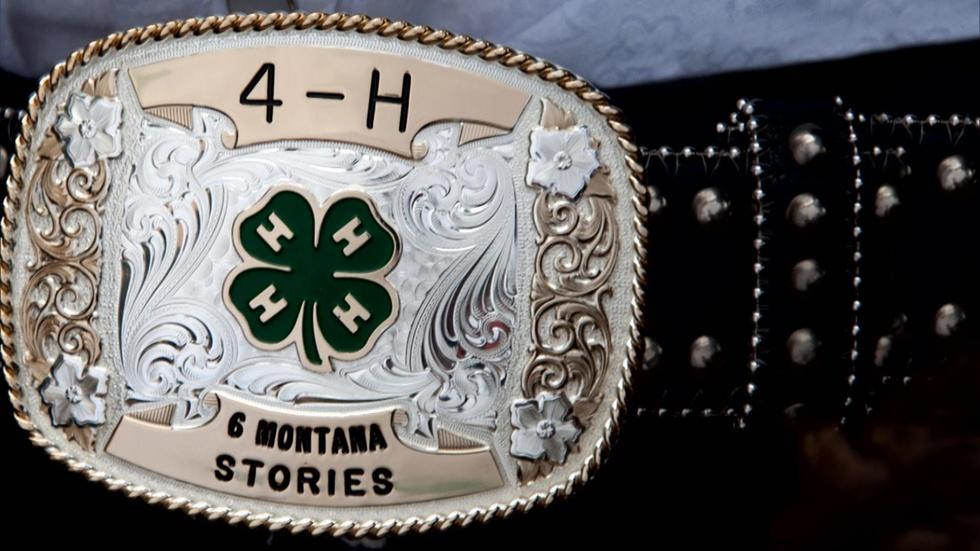 4H: Six Montana Stories image