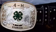 4H: Six Montana Stories