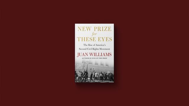 'New Prize for These Eyes' details 2nd civil rights movement