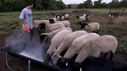 1203