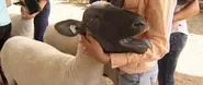 616