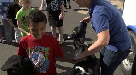 Video thumbnail: Inside California Education Parents Make a Difference Preview