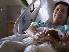 Healing Beyond Medicine - Hospital Therapy Dogs