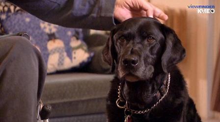 Video thumbnail: ViewFinder Healing Beyond Medicine - Service Dogs
