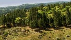 Video thumbnail: ViewFinder Up From the UnderStory