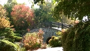 Shinzen Japanese Garden: Fall Artist Day