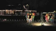 Christmas Tree Lane 2013