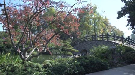 Video thumbnail: Valley PBS Community byYou Shinzen Fall Festival