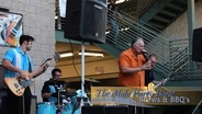 Blues, Brews & BBQ's - Mofo Party Band