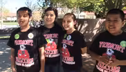 Peach Blossom Festival 2014