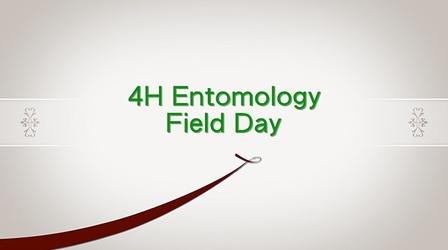 Video thumbnail: Valley PBS Community byYou Merced 4-H Entomology Day