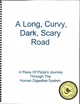 The Long, Curvy, Dark, Scary Road by Emma Rombold