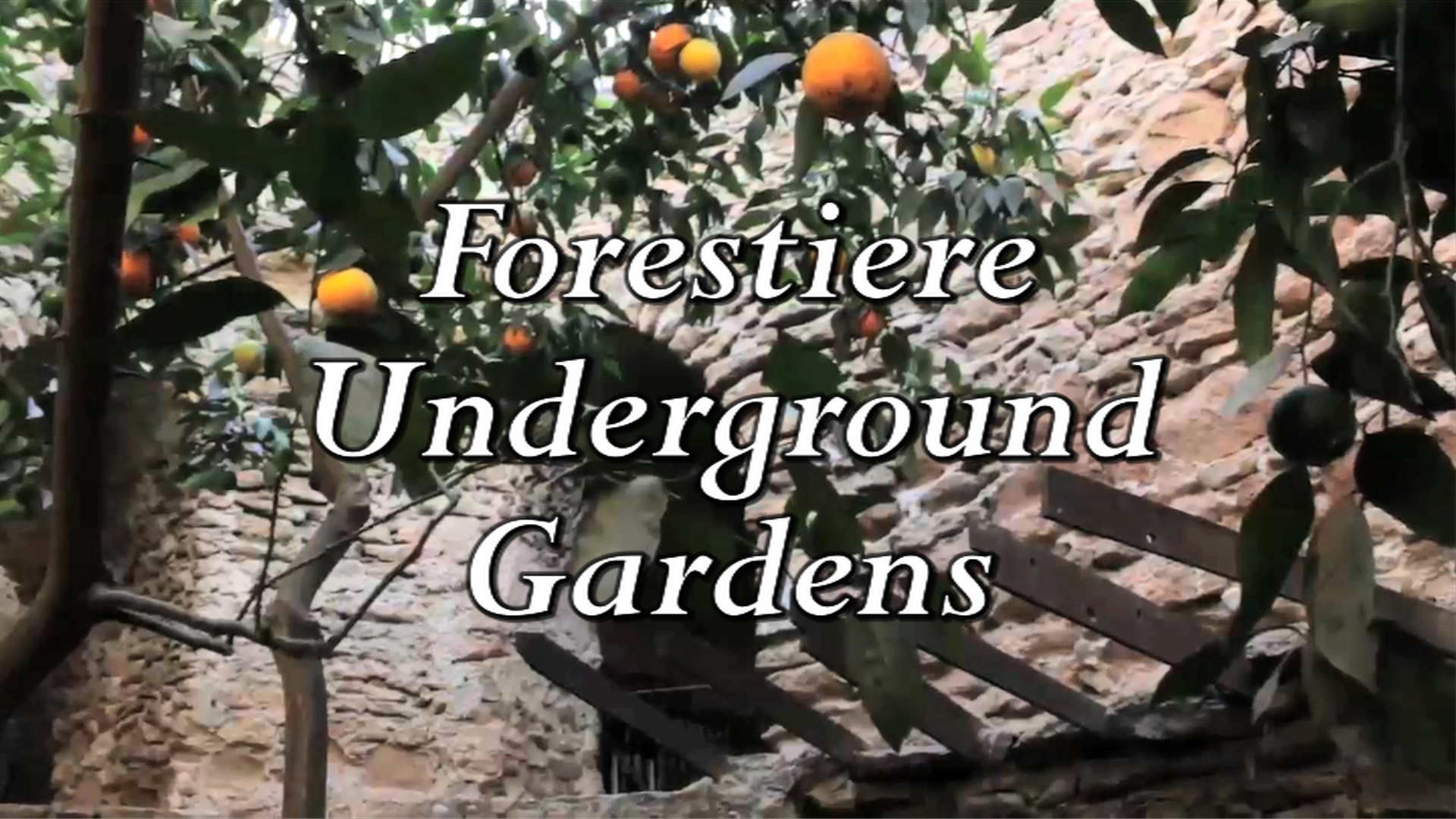 Byyou Exploration Underground Gardens Pbs