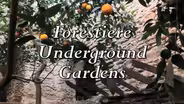 Underground Gardens