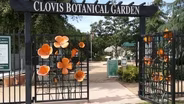 Clovis Botanical Garden: Around the World in 80 Bites