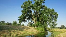 Video thumbnail: byYou Exploration Tulare County Treasures: Kaweah Oaks Preserve