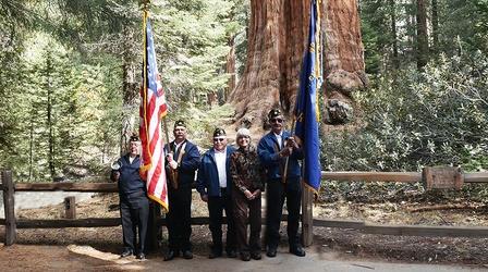 Video thumbnail: Valley PBS Community byYou Grant Tree Veterans Day