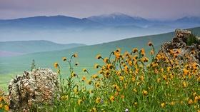 Video thumbnail: byYou Exploration Tulare County Treasures: The Story of Lewis Hill Preserve