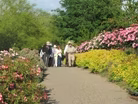 TCT: The Story of Bravo Lake Botanical Garden 