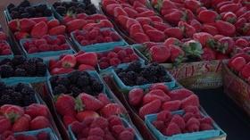 Video thumbnail: byYou Health & Wellness El Paseo Farmer’s Market in Fresno
