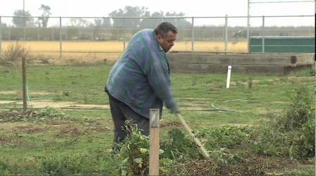 Video thumbnail: byYou Art & Culture CCROPP Pixley Community Garden
