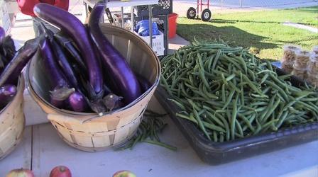 Video thumbnail: byYou Art & Culture CCROPP Burroughs School Farm Stand