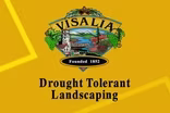 Visalia Today: Urban Tree Foundation