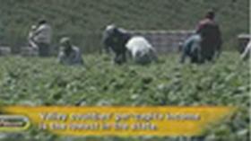 Video thumbnail: Great Valley New Valley Reality
