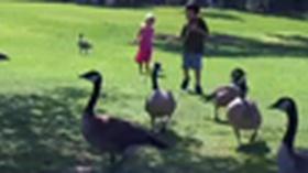 Video thumbnail: Great Valley State and Municipal Parks