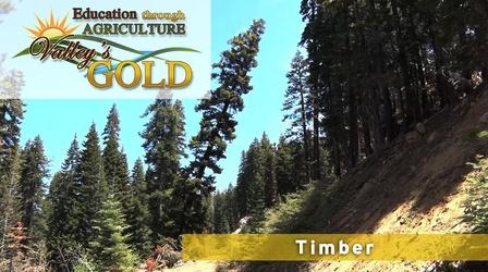 Video thumbnail: Valleys Gold Season 2 Education Through Agriculture: Timber