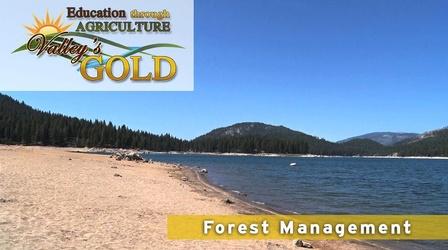 Video thumbnail: Valleys Gold Season 2 Education Through Agriculture: Forestry