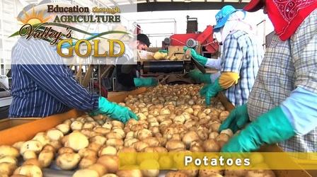 Video thumbnail: Valleys Gold Season 2 Education Through Agricultre: Potatoes