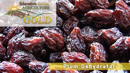 Video thumbnail: Valleys Gold Season 2 Education Through Agriculture: Prunes