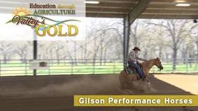 Video thumbnail: Valleys Gold Season 3 Performance Horses | Educational Segment